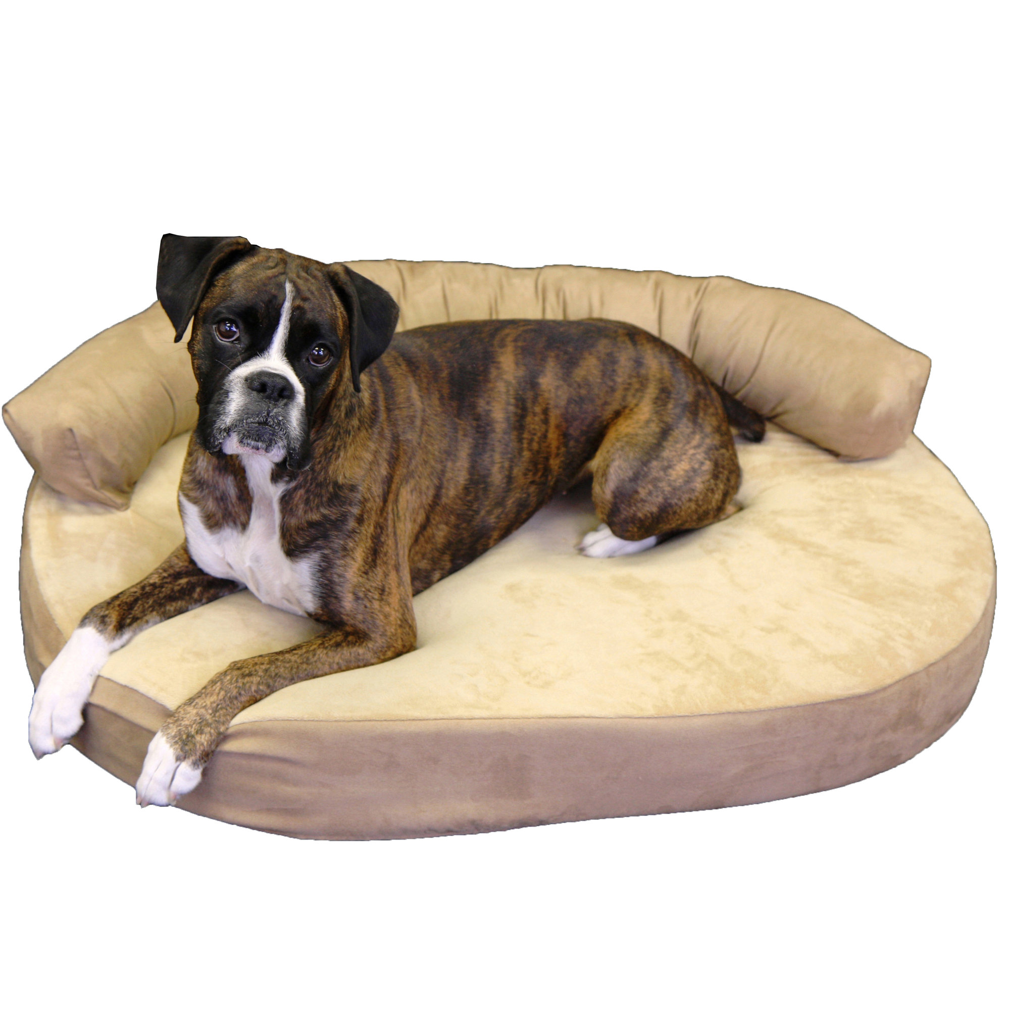 Integrity Bedding Orthopedic Memory Foam Joint Relief Bolster Dog Bed